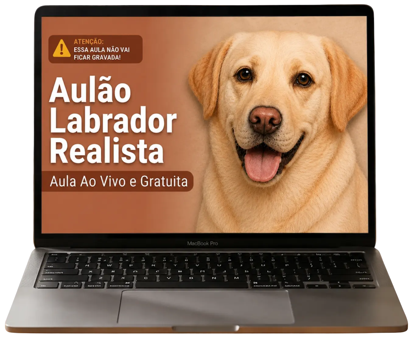 Aulão Labrador Realista